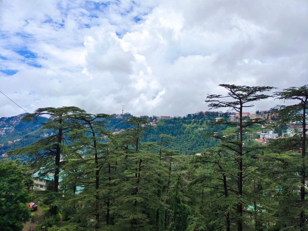 Mountain Zest-Simla Royale Near Mall Road-Free Pickup From Railway Station Simla Exteriér fotografie