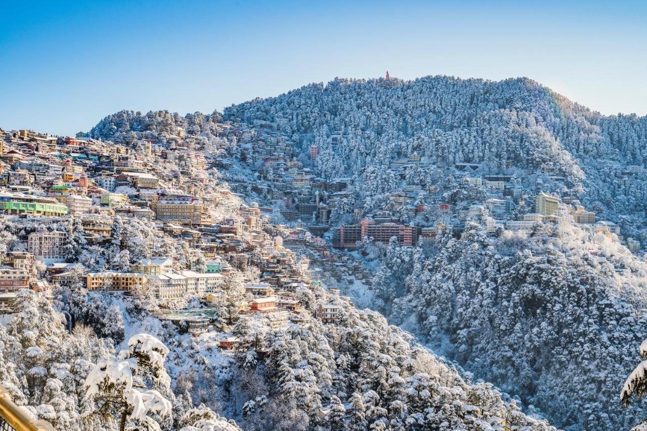 Mountain Zest-Simla Royale Near Mall Road-Free Pickup From Railway Station Simla Exteriér fotografie
